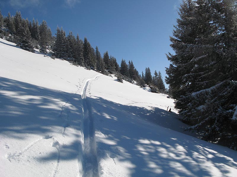 Aufstieg zum Hochkalmberg